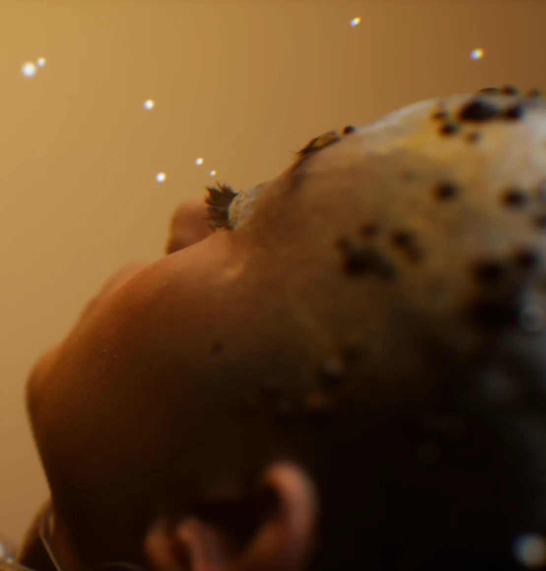 A digital character's head in amber light, with drifting particles