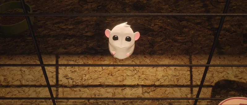 The hamster in its enclosure
